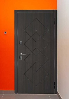 Входная дверь черного цвета в интерьере в стиле техно, вид снаружи с темной отделкой
