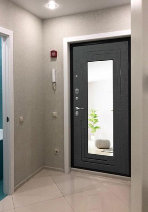 Входная дверь с зеркалом в новостройке