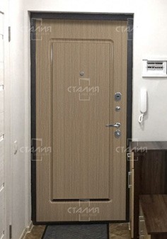 Дверь эконом класса с повышенной звукоизоляцией в новостройку