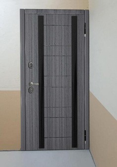 вид входные двери снаружи с темной отделкой