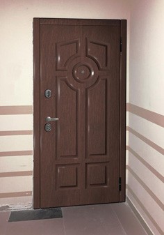 вид входные двери снаружи с темной отделкой