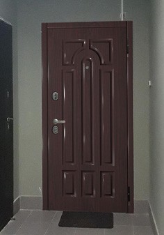 вид входные двери снаружи с темной отделкой