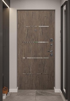 вид входные двери внутри со светлой отделкой