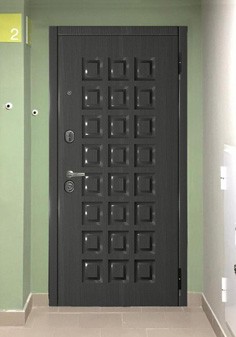 вид входные двери снаружи с темной отделкой