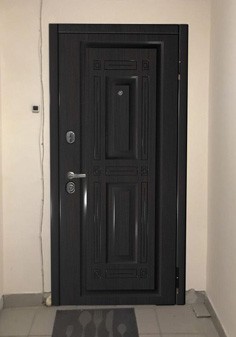 вид входные двери снаружи с темной отделкой