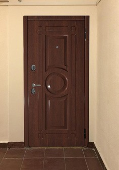 вид входные двери снаружи с темной отделкой